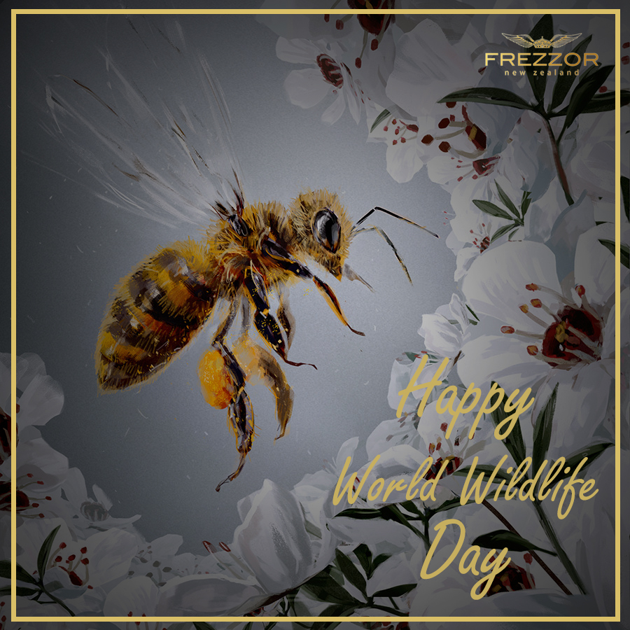 FREZZOR's tweet photo. Happy World Wildlife Day! We’d like to take this day to appreciate all the incredible animals and plants that help us provide you with our FREZZOR Ultimate Lifestyle Collection – Including these honeybees hard at work on our Manuka trees!

#FREZZOR #NewZealand  #WorldWildlifeDay https://t.co/jpoQ7rtXMx