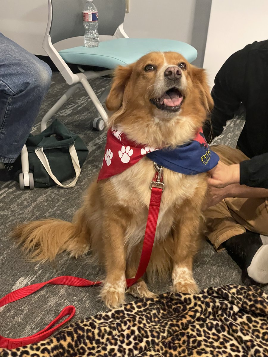 UHCLlibrary's tweet photo. Thanks so much to Faithful Friends and the Student Veterans Association for the successful #StudyPAWS events this week! We loved it, and so did the pups! ๐ถ๐พ Stay tuned for more events in the future! For more info and pictures, visit: https://t.co/ktTwNVWVTT https://t.co/0QNdL5YBBT