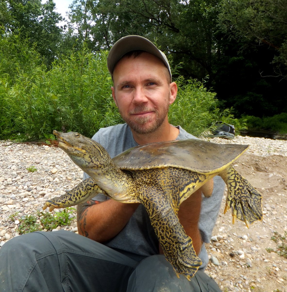 Southern Ontario At Risk Reptiles Need Your Help!
With declining provincial support it will take our passionate communities to help make this happen.
CBC story: bit.ly/3CeES0D
Donations: thamesriverdonations.ca/species-at-risk