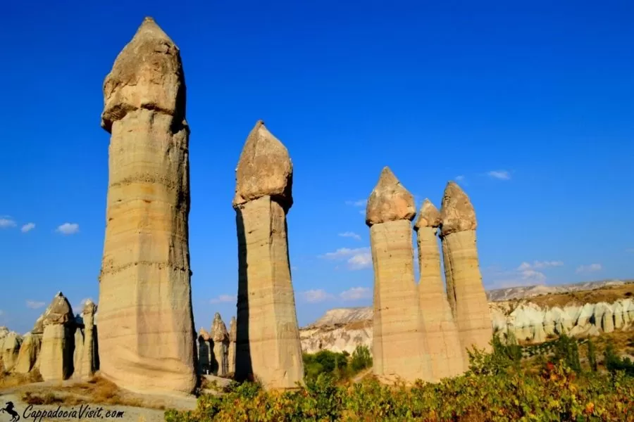 фигурки из шариков колбасок меч. памятник члену. фало. амормо фаллус. член из дерева.