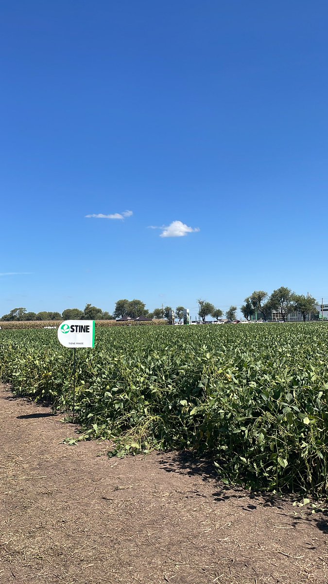 jorgepereyraAI's tweet photo. Expo STINE 2022 VENADO TUERTO ‼️‼️ Cuanta novedad y innovación‼️🌱🌽@adp_uruguay @PabloRRicart @Sofia_Guigou @quiqueferrari @stinesemillas @paz_tonelli https://t.co/3zdD2P69NK