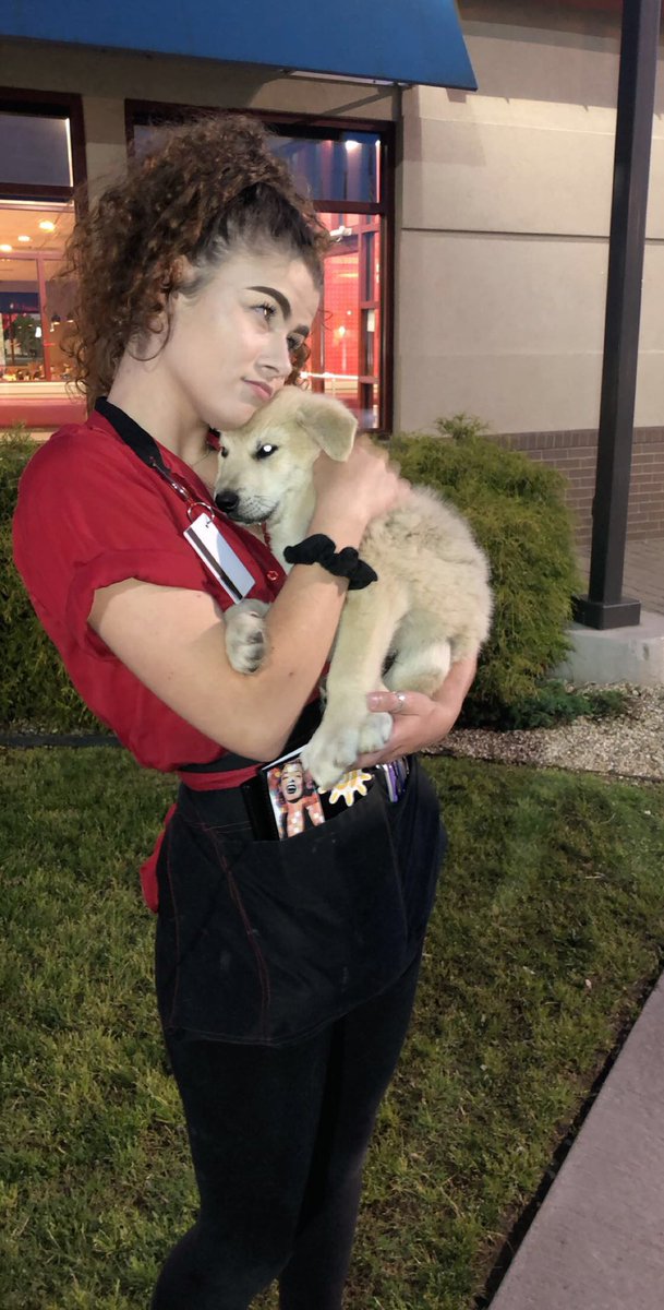 lexiiboatman's tweet photo. It’s my best friends birthday and I can’t believe he’s already 3 🥺 love this big fur baby more than anything in this world 🤍 https://t.co/RLtfeKSfDL