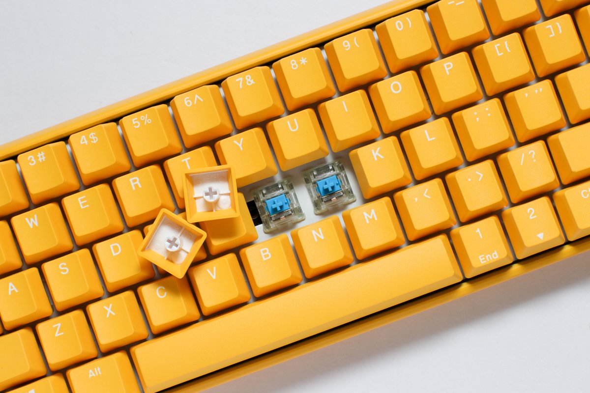MeckeysHQ's tweet photo. 📢 Limited Ducky One 3 series keyboard are now available for pre-order. 🚀

✅ Mini Daybreak
✅ Mini Yellow
✅ SF Yellow

🔗https://t.co/sXsqAuHZkJ

@DuckyChannel 
#mkindia #meckeys #mechanicalkeyboard #Duckyone3 https://t.co/MQls425fxq
