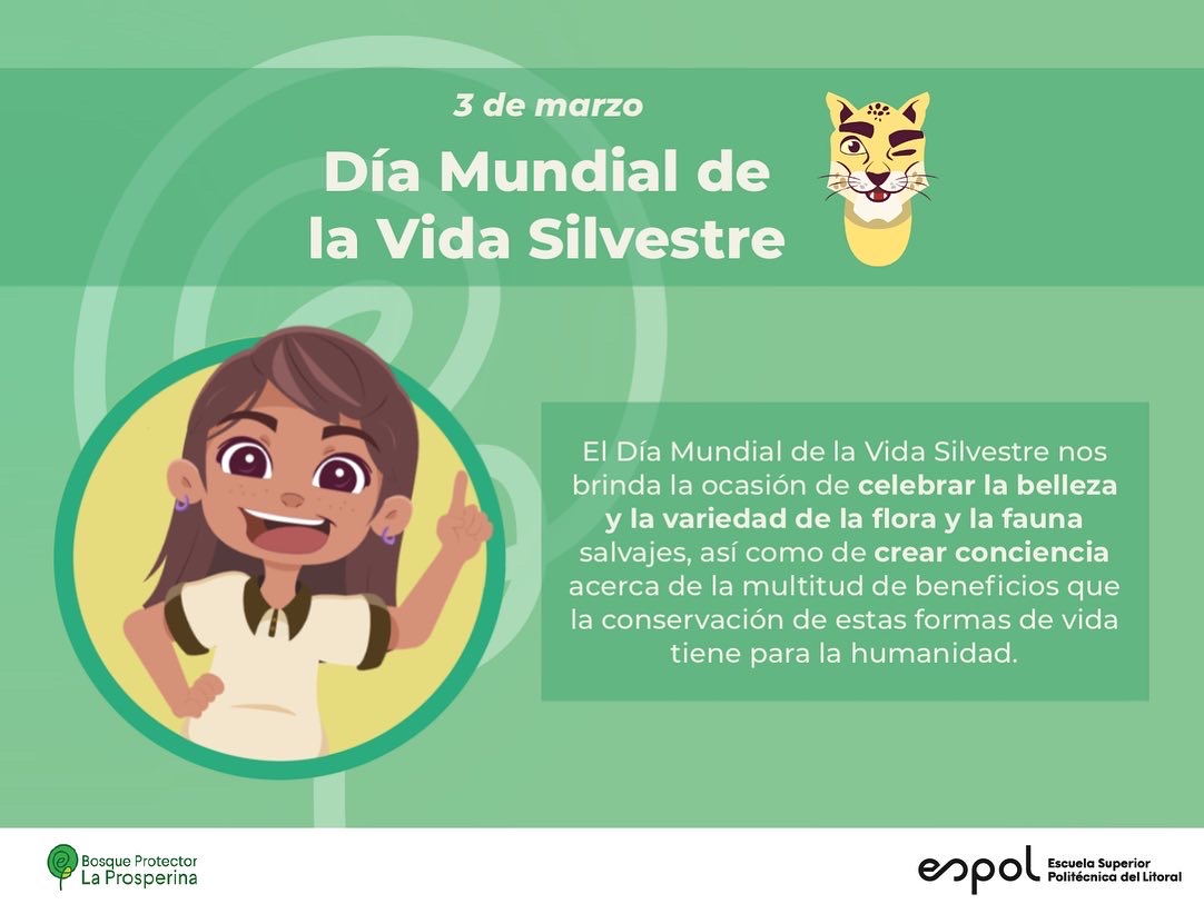 Celebramos el Día Mundial de la Vida Silvestre para continuar creando conciencia acerca de la flora y fauna del mundo. 🌎🤍