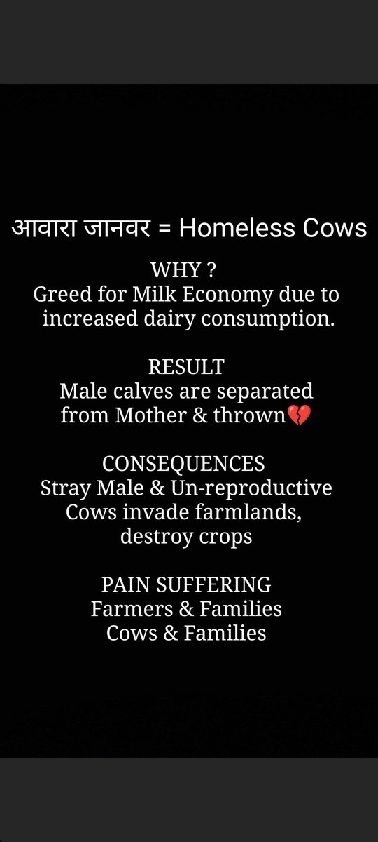 joedelhi's tweet photo. Normalisation of Cruelty of Animals
        In India leading to pain to both
                      Farmers &amp; Cows 
      आवारा जानवर = Homeless Cows https://t.co/tCWrbguYBf