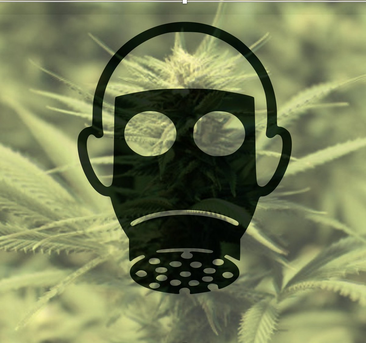 MJBAnet's tweet image. @WSLCB  Adopts New #PesticideTesting Rules #WA #cannabis #MJNews 
mjnewsnetwork.com/legal/washingt…