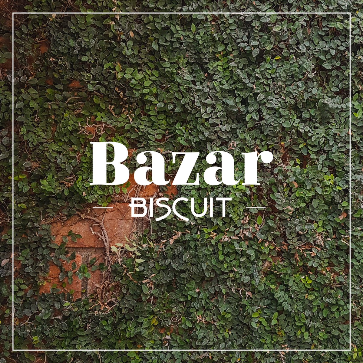 ¡Ven a apoyar emprendedores locales este fin de semana! 

En esta edición de nuestro #BazarBiscuit recibiremos la visita de estos cinco emprendimientos: