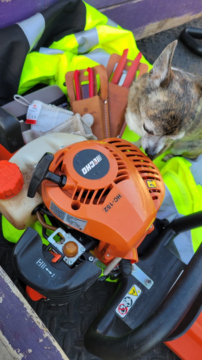 jarlandscaping's tweet photo. Our little helper! ๐พ #ECHOUSA #ECHOMeansBusiness #CoronaTools #NoCry https://t.co/UxsefdOfp6