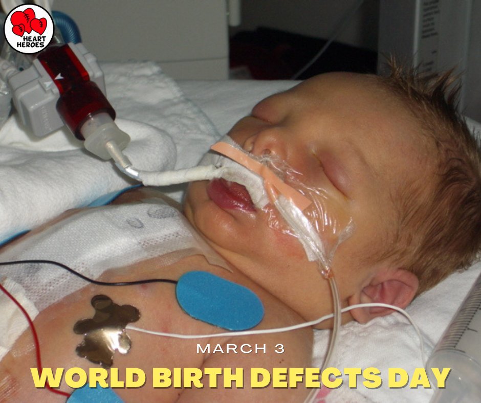 HeartHeroes's tweet photo. March 3 ~ World Birth Defect Awareness Day ❤️ Congenital Heart Disease is the #1 Birth Defect Worldwide. #CHD #HeartHeroes #1in100 #worldbirthdefectday #morethanjustacape https://t.co/0HJprZ1LBA