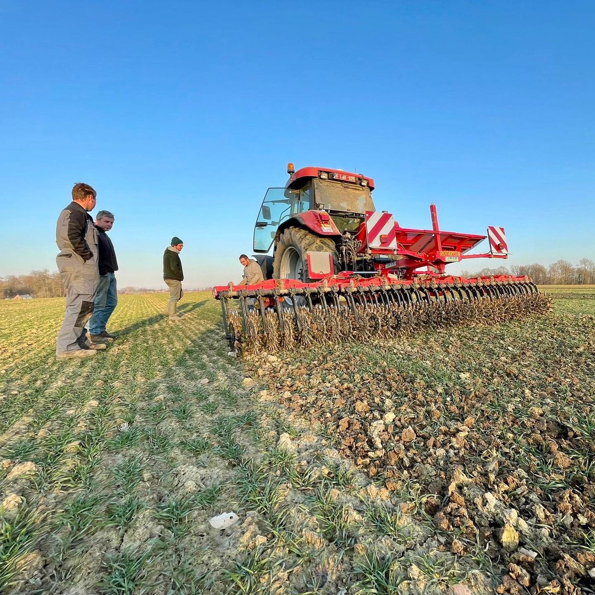 soilcapfarming's tweet photo. Spring is in sight! Daylight is getting longer and temperatures are slowly rising. Perfect time to start with mechanical weed control in the #organic cereals! #triticale #regenag #mechanicalweeding #organicfarming https://t.co/Y8XBzvWynV