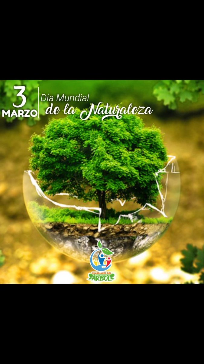 Hoy 03 de marzo Día mundial de la fauna silvestre y día mundial de la naturaleza
#FGuardianesdelarbolmara