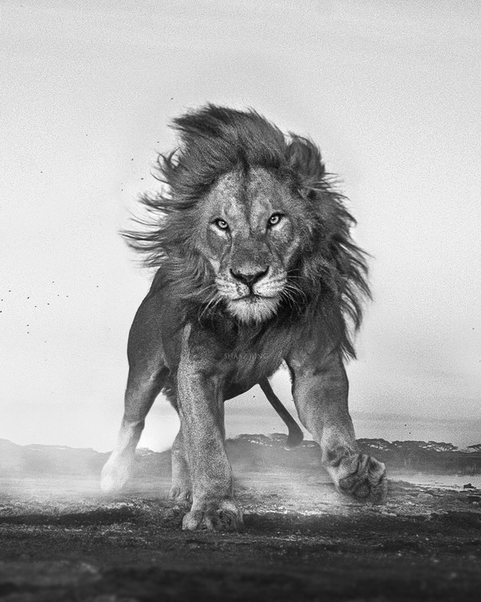 King. 
cc: <a href="/shaazjung/">Shaaz jung</a>