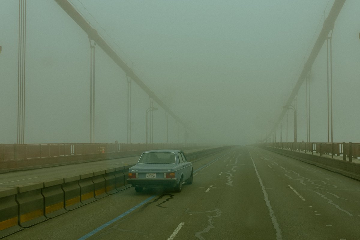 briscoepark's tweet image. In Loving Memory