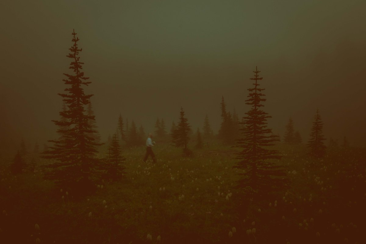 briscoepark's tweet image. In Loving Memory