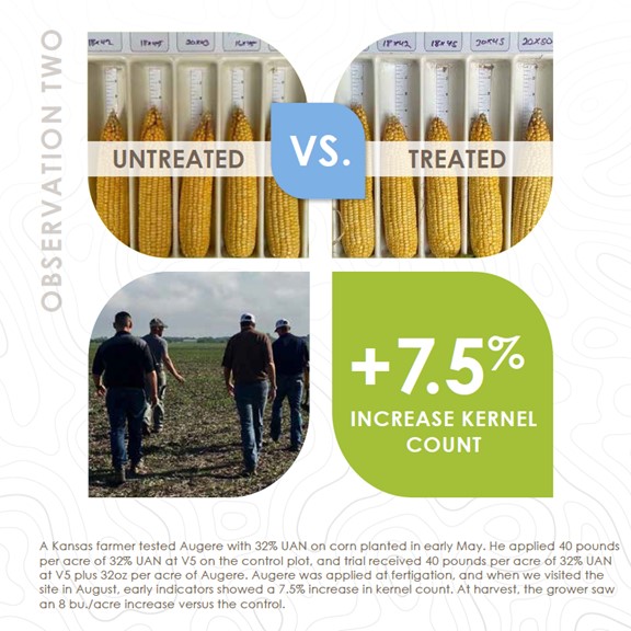 As we continue to see #fertilizer prices rise, we also hear farmers looking for ways to ensure their applied fertilizer is fully utilized given the investment. One of our Augere trial partners in Kansas who uses 32% UAN added Augere to the mix and saw an 8 bu/A gain at harvest.