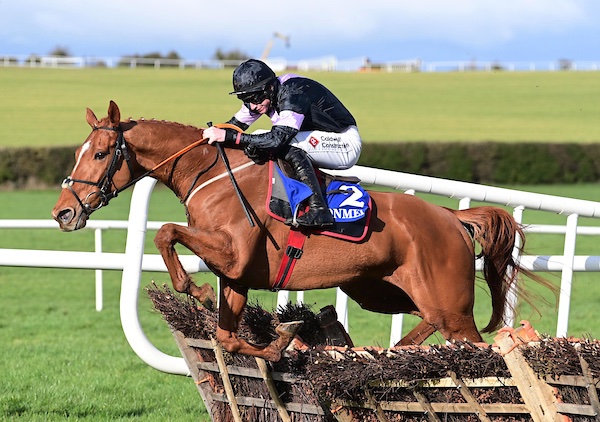 A great result for <a href="/PioneerRacing_/">Pioneer Horse Racing</a>  at Clonmel today as Bravo Team scores on his second start over hurdles. Well done to everyone involved.