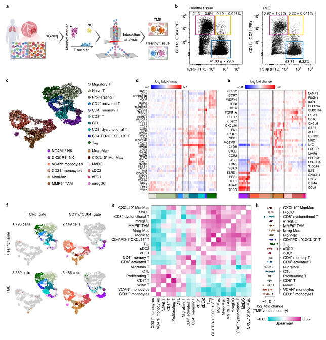 🔥🔥 ONLINE NOW <a href="/NatureCancer/">Nature Cancer</a>: "The interaction of CD4+ helper T cells with dendritic cells shapes the tumor microenvironment and immune checkpoint blockade response", by <a href="/IdoAmitLab/">IdoAmitLab</a> <a href="/MiriamMerad/">Miriam Merad, MD, PhD</a> #AmosTanay &amp; Co

Find it here!
go.nature.com/35nKOsq
rdcu.be/cIaAQ