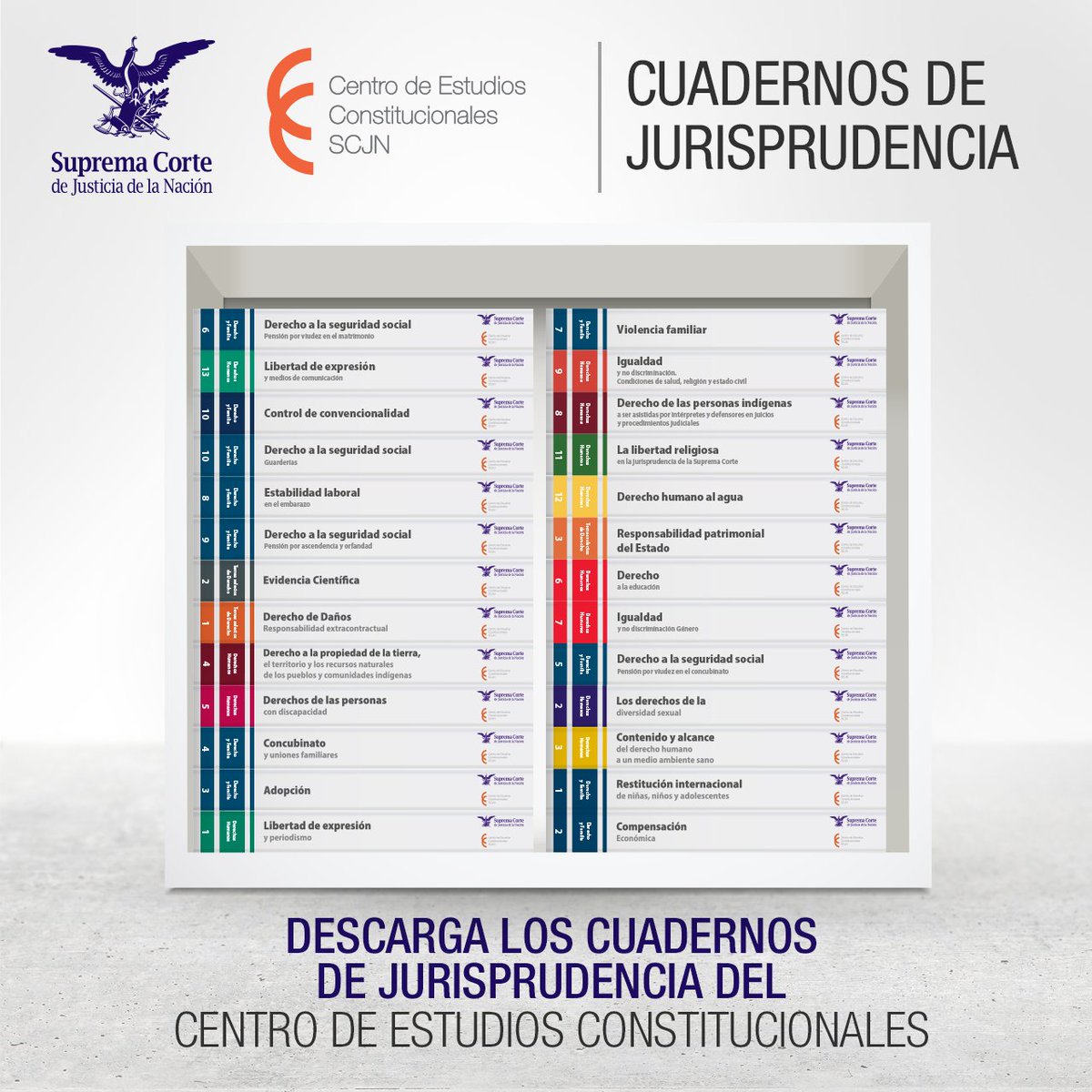 Consulta los criterios de la Corte sobre derecho de daños, seguridad social; adopción; diversidad sexual; igualdad y no discriminación, entre otros. 

Descarga los Cuadernos de Jurisprudencia del <a href="/CEC_SCJN/">Centro de Estudios Constitucionales y SJ</a> 

🔗 bit.ly/2Od8EOB
Versión impresa bit.ly/3sz6QkD