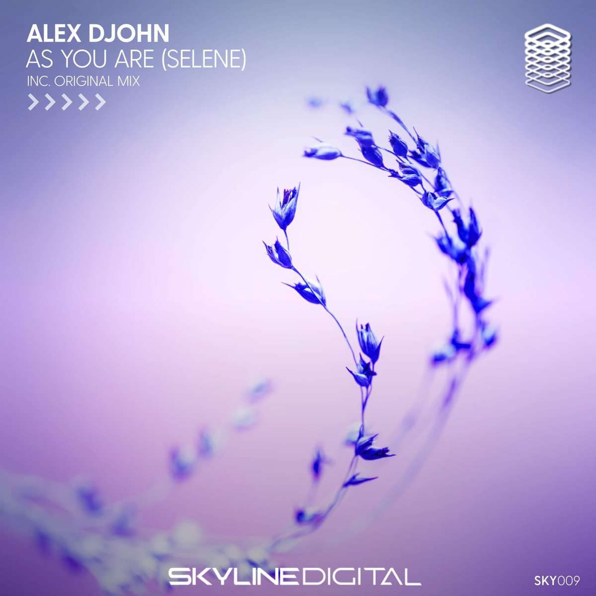 Ninth release in Skyline and <a href="/AlexDjohnMusic/">Alex Djohn</a> makes his debut on the label with this beautiful track titled "As You Are" 💥🫂
Promo and release date tomorrow, stay tuned 👀
.
.
.
#trancefamily #mexicanlabel