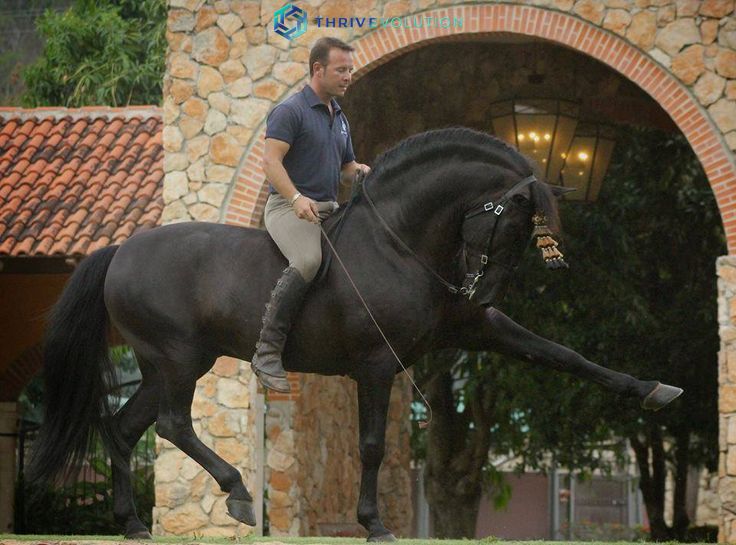 thrivevolution's tweet image. Dream building... How do you build a dream? 
Start with pictures of this that are your desires and start to visualize that they are already yours. 

So build your dreams , believe that they are yours already, and the Universe will follow your wishes.

#Beherenow #freedom #thrive