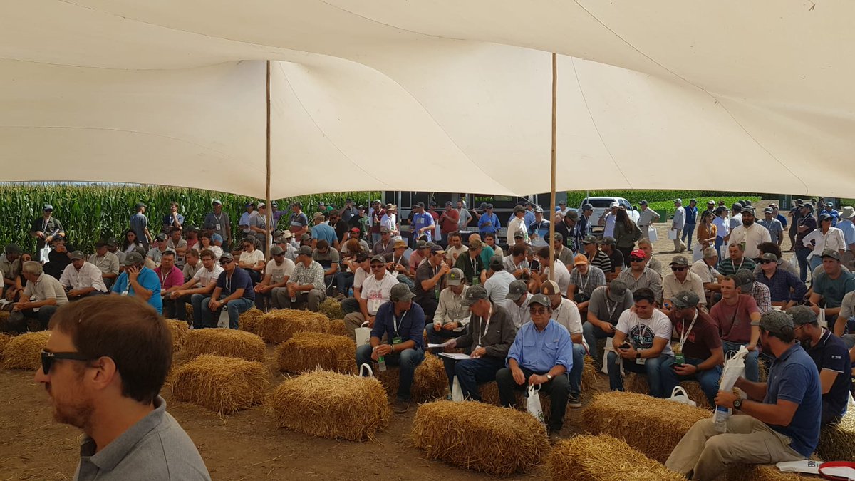 PioneerSemillas's tweet photo. 🎾 🌽 PIONEER OPEN 2022 | Queremos agradecerle a los más de 200 asistentes a la primera fecha del #PioneerOpen en la localidad de Bengolea, Córdoba. Con la participación especial de Luis Lanfranconi.

¡Nos vemos en Juan José Paso!

Pioneer, #HechoParaCrecer. https://t.co/j0onqpAOpH