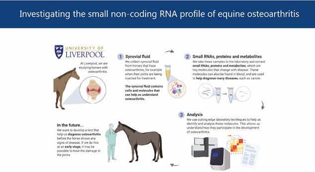 Mandy Peffers tweet media