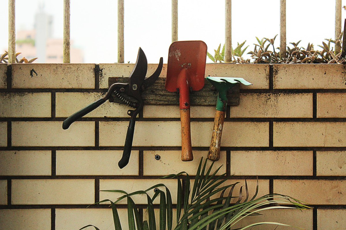 Have any old garden tools knocking about you no longer want? Bring them along to this Sunday’s seed, plant and tool swap at Edible Guernsey 🌿

#edibleguernsey #seedswap #guernsey