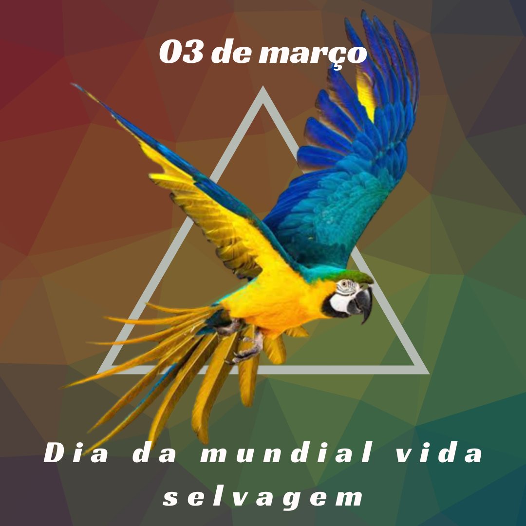 leolto's tweet photo. Viva! https://t.co/RAIeVetxF9
