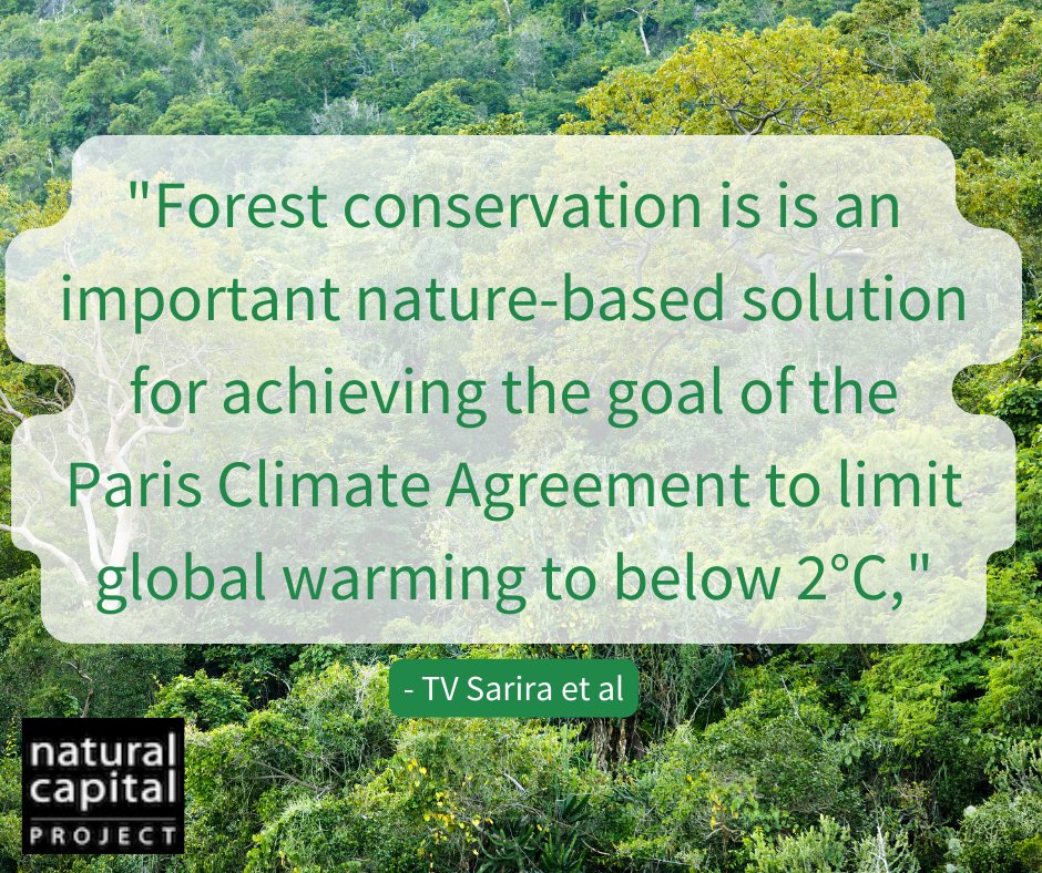 Photo of forest; Text: “Forest conservation is an important nature-based solution for achieving the goal of the Paris Climate Agreement to limit global warming to below 2°C,” - TV Sarira et al. NatCap logo in lower left corner