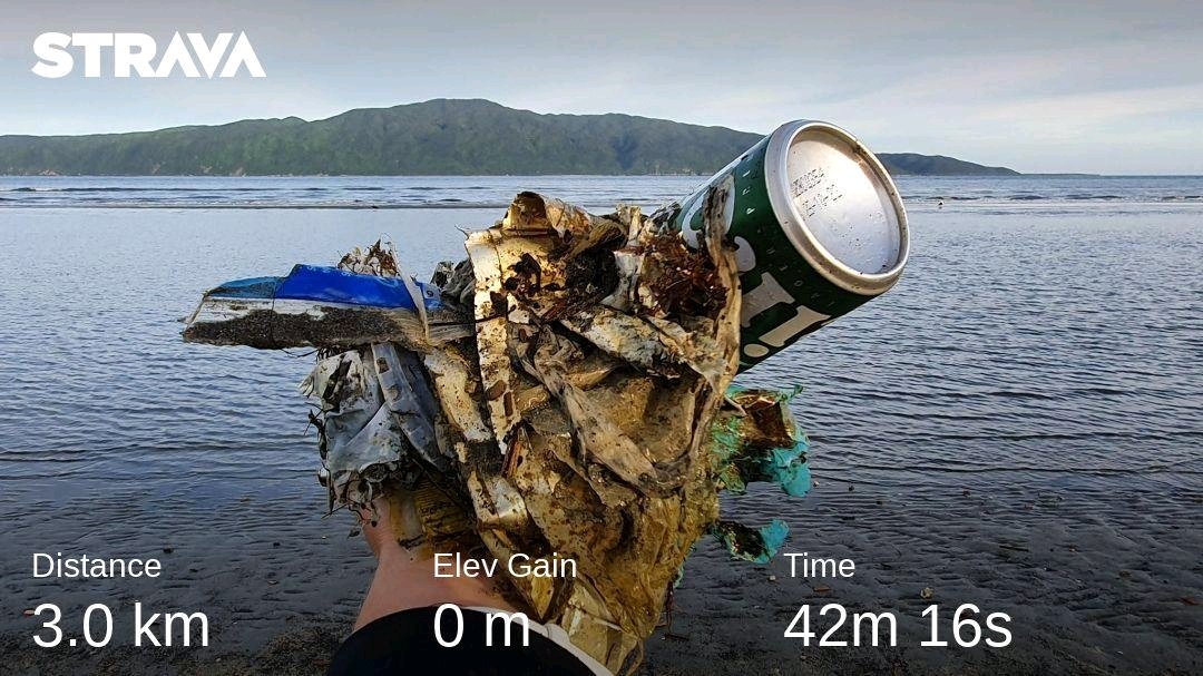 Beautififul morning for a walk. But the trash. Ugh! (And yes, next time remember to take a bag!)