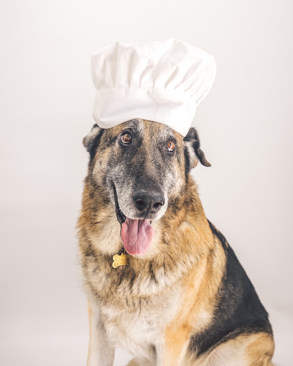 CHEF DOUG IS BACK to announce he is president of Supper Club, a new weekly series with our partner, @justfoodfordogs! We’ll be featuring pups whose lives have improved since joining the fresh whole food movement. Starts next week 🤗