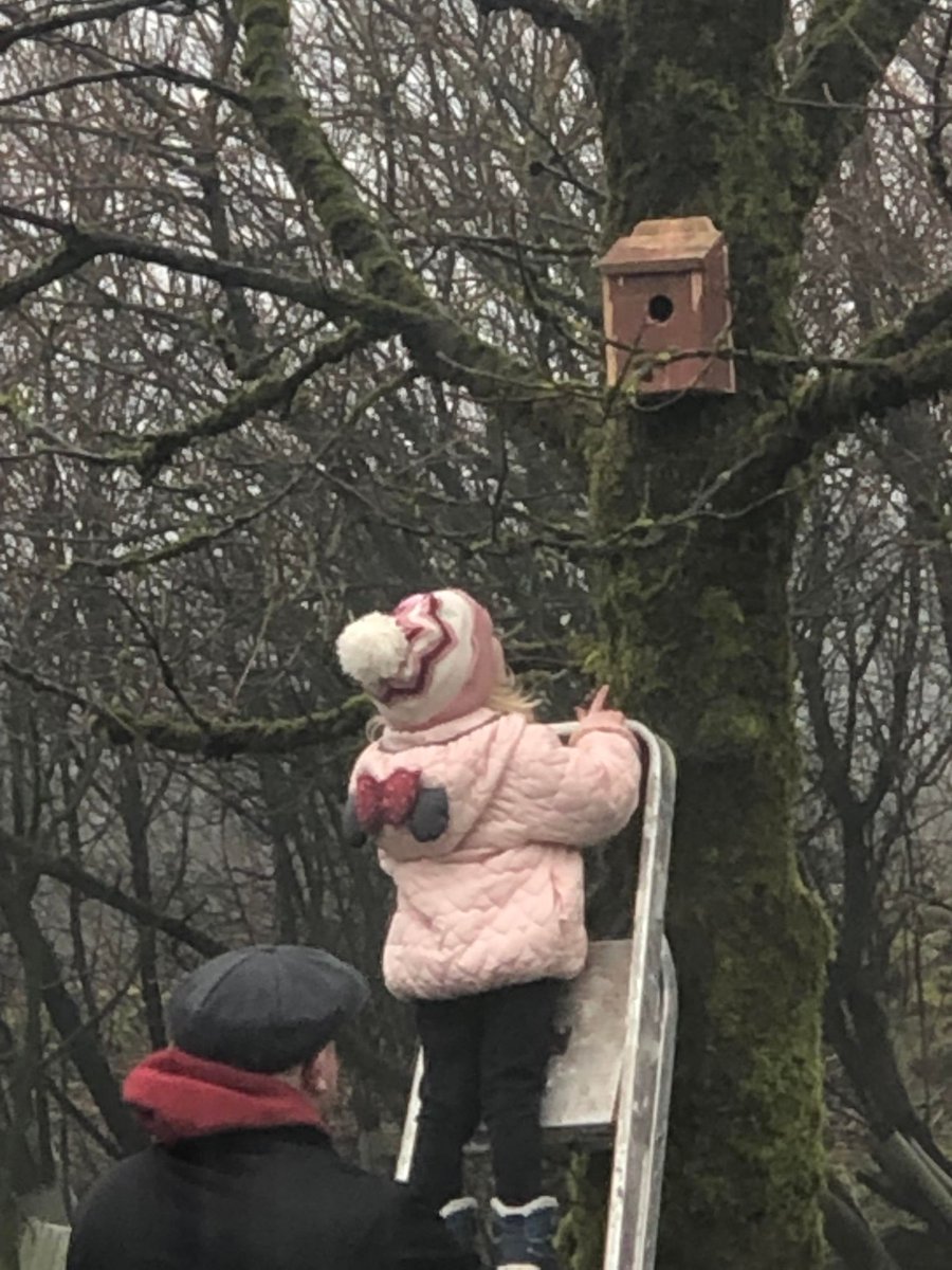 Doing our bit for the Birds..