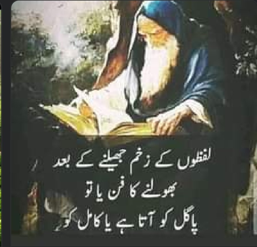 توکل🕋🙌 tweet media