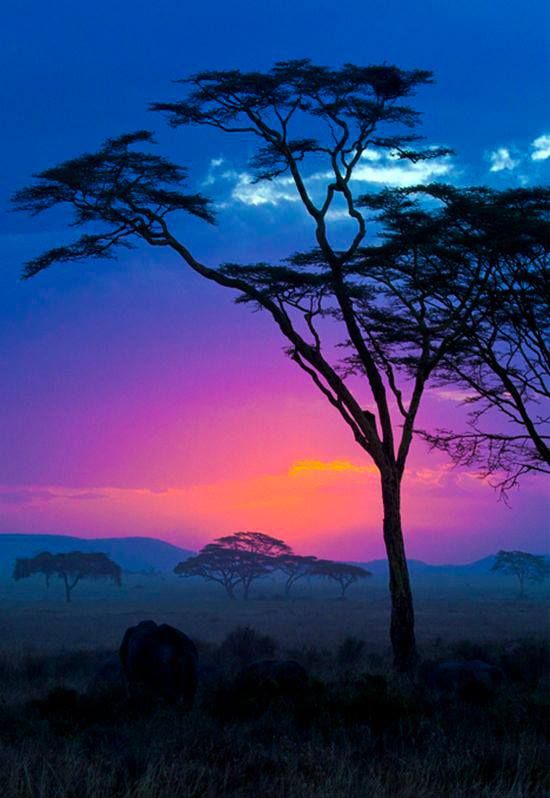 Train your mind to be calm in every situation. 💙