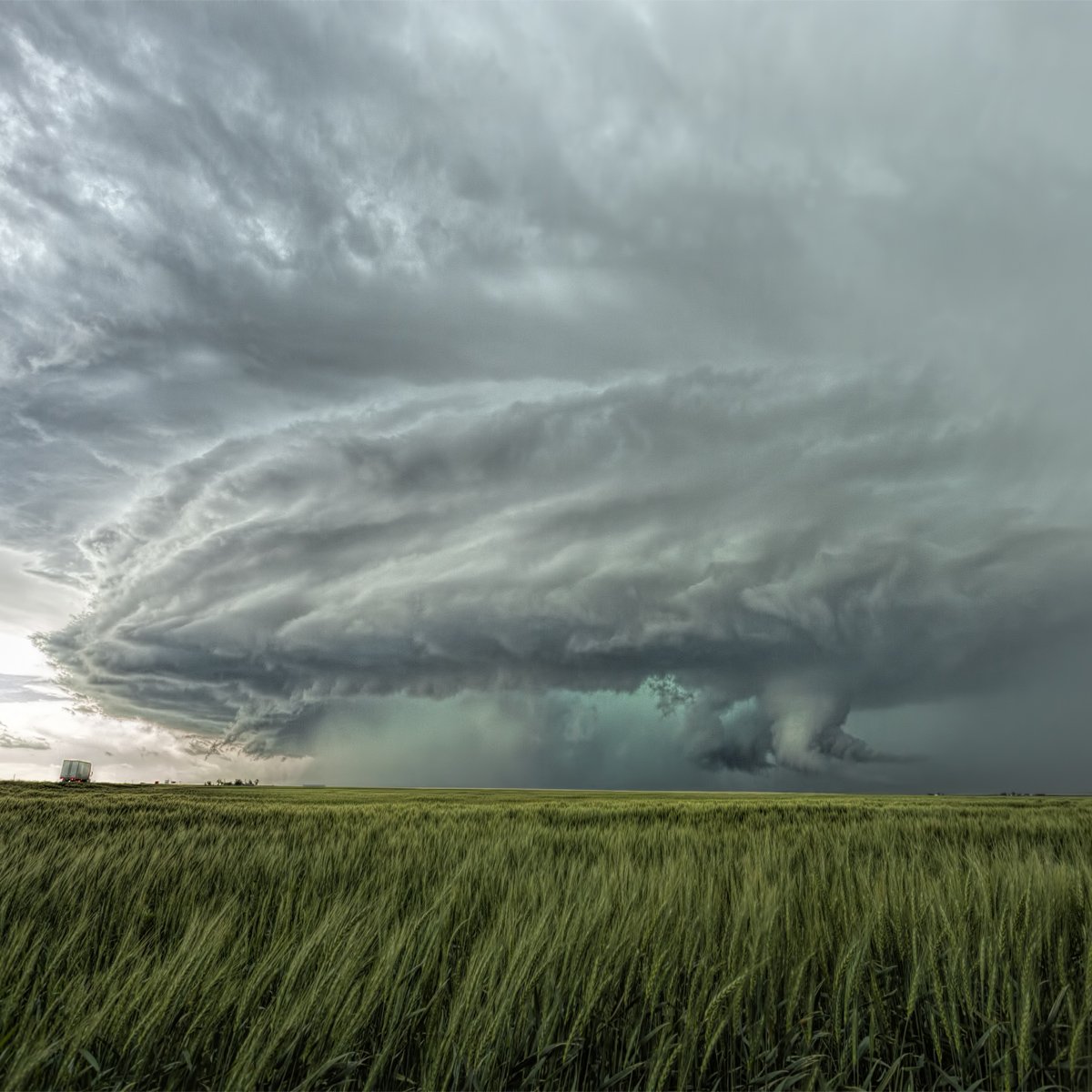 jamessmartLP's tweet photo. #NFTliverpool
#stormscapes
https://t.co/Jp3uD0G2DJ https://t.co/RaGSCQrwam