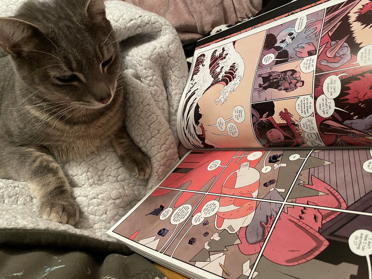 TheRealMaxGrove's tweet photo. Once again I find one of my cats reading comics. This is Gandalf and he is reading @AshcanPress and @BoyCartoonist ‘4 Kids Walk Into A Bank’ https://t.co/z0GI9evIWz