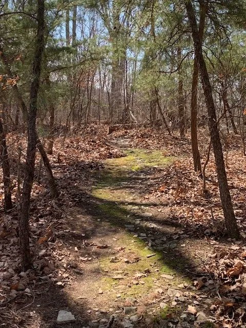 Isn't it lovely?  Come sign up to hike the trail on Saturday!  Register here: buff.ly/3hAfPvt