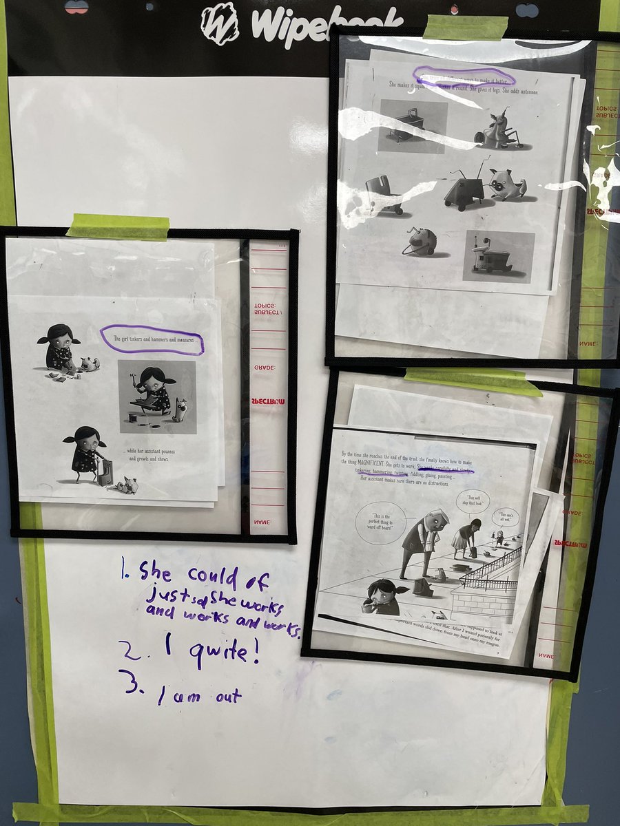 Nicole Macleod tweet media