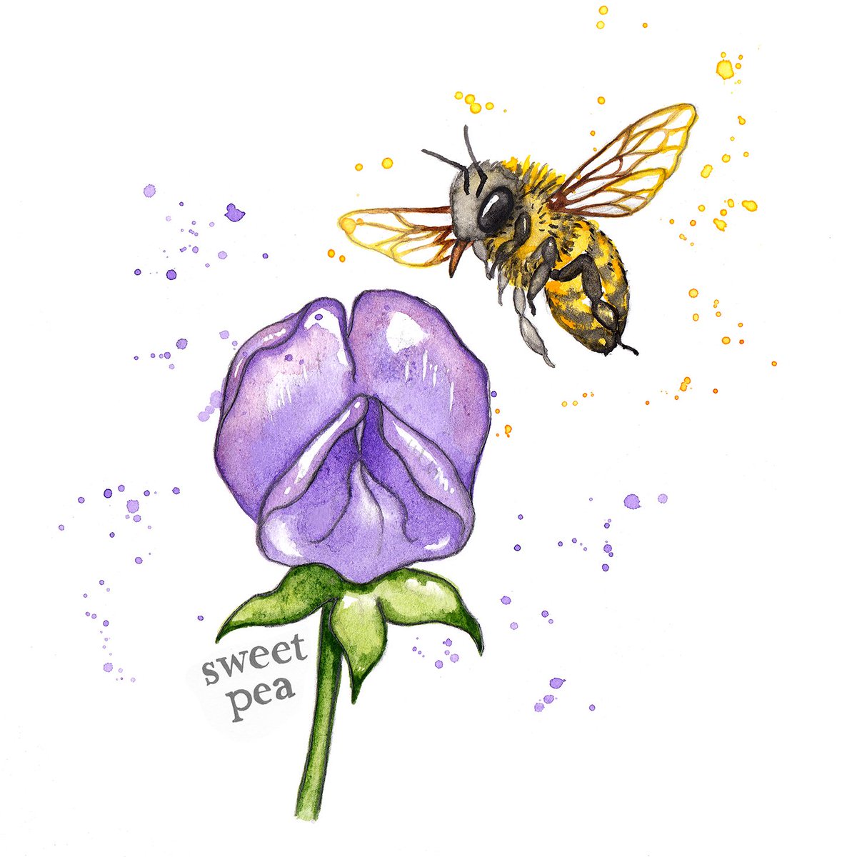Banned pesticides are banned for a reason...UK bees, if you can read tweets, please stay clear of beet crops this year #saynotoneonics  #banneonicitinoids #savethebees #watercolours #bees #honeybees #illustrationart #illustration