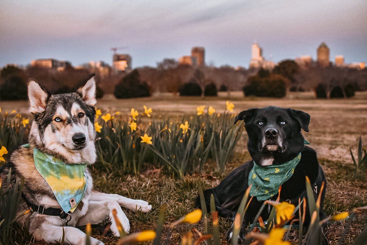 It's 80°F here today and I just want to be back in this spot with my boys
#TBT