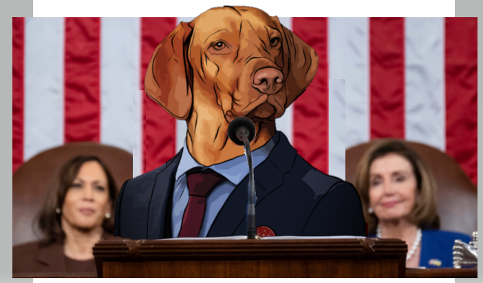 DogsOfSociety_'s tweet photo. A standing ovation was the result of our Mayor's last speech! 👏

Another FanArt piece by one our community members! 🥳
Thank you @BeeFreeUs for all your support at @DogsOfSociety_ 🐶

Keep being a doggo! 🦴

#Cardano  #CardanoCommunity #CardanoFamily #CNFT #CardanoNFTs https://t.co/tlZHnHJrpT