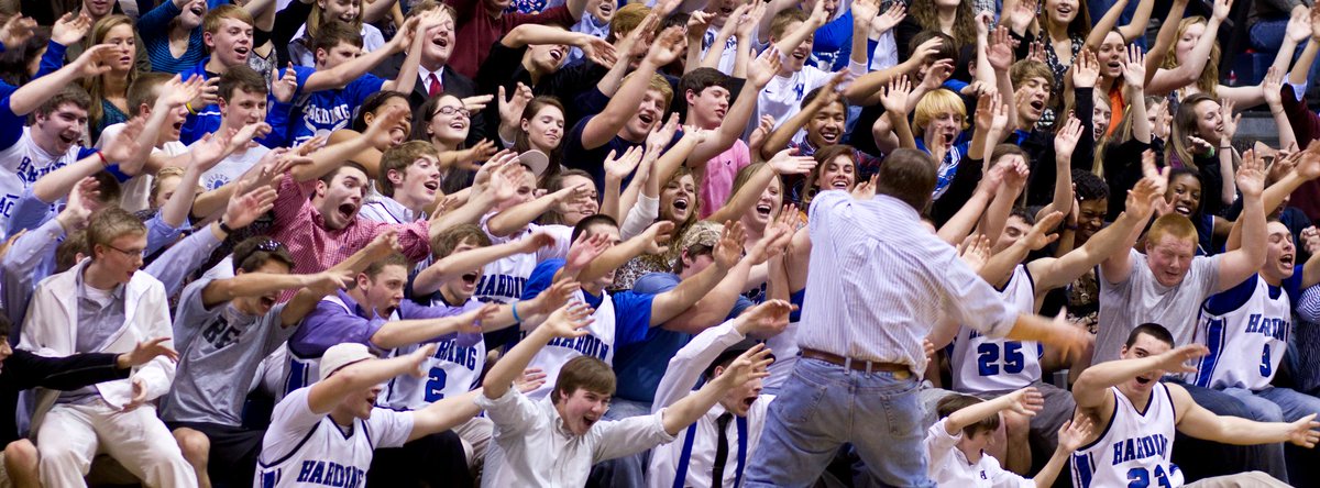 Seth King tweet media