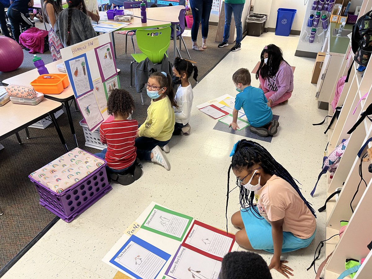 pinkk_pearl's tweet photo. Thank you first grade for sharing your bird posters with us today! @Mrs_Porter_ https://t.co/dVGVgpLgJl