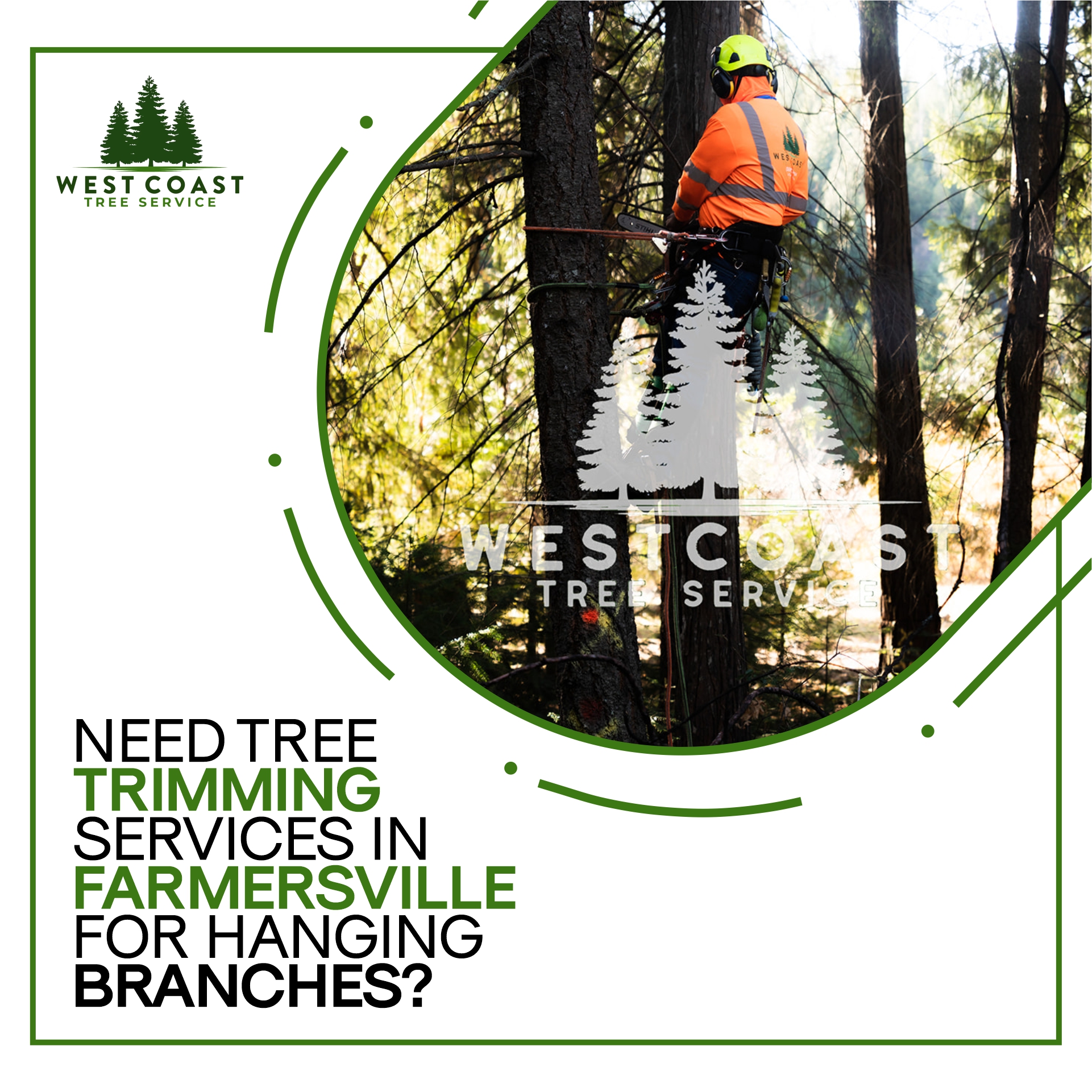West Coast Tree Service on Twitter: "Nature is beautiful! But just like ...