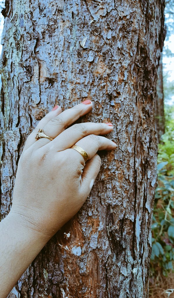 BeastyGilbert's tweet photo. Kaat rahe ho ped tum aise
Jaise ye dharti tumhari property ho
Ye bhul rahe ho ki
Buildings chahe jitna bhi uchi ho
Ped ki chhao se zyaada apna nhi
Unki deewarein chahe kitna bhi rangin ho
Iss hariyali se zyaada pyaara nahi ππΏ
Abhi bhi waqt hai
Sudhar jao
#Stopcuttingtreesdown https://t.co/avcpYl1bNV