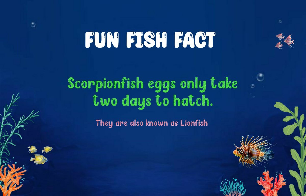 MotherPuffers's tweet photo. Fun Fish Fact ๐ค #funfishfact #thursdayvibes #ThursdayThoughts https://t.co/u5Lkv5v06S