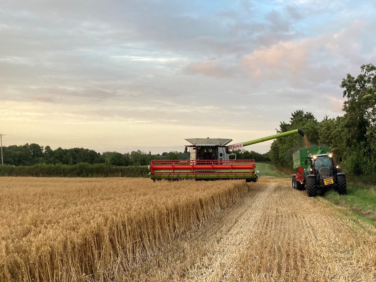 Russian invasion of Ukraine will cause world shortage of grain over next 2 years. A very short timeframe available for   <a href="/agriculture_ie/">Dept of Agriculture, Food and the Marine</a> to work with farmers and help increase the tillage acreage for the coming year  <a href="/AgrilandIreland/">Agriland</a> <a href="/farmersjournal/">Irish Farmers Journal</a>