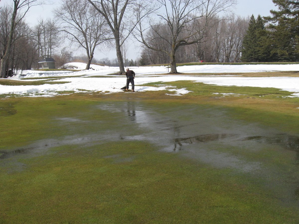 Kawartha Golf Club Turf Department tweet media