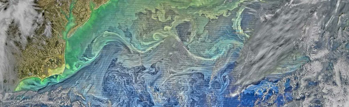 [Job Friday] 3-year postdoc in physics of submesoscale entrainment and subduction at University of Maryland <a href="/AOSC_UMD/">UMD Atmos&Ocean Sci</a>. With <a href="/roguewave/">Abaddón Apolión</a>, <a href="/baylorfk/">baylorfk.bsky.social</a>, <a href="/JayBrett9/">Dr. Jay Brett</a>. Applications open now. For more info:  buff.ly/36PSVhH.
