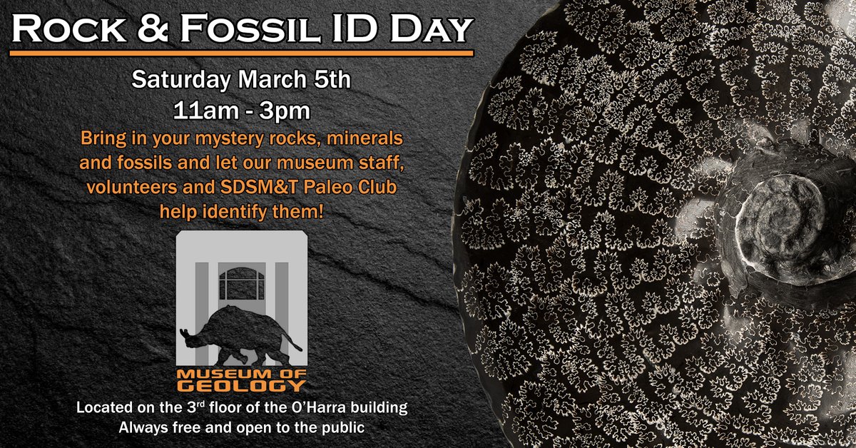 Rock and Fossil ID Day is this Saturday!! Bring your rocks, fossils, and minerals from home and museum staff and paleontology club volunteers will help you identify them!